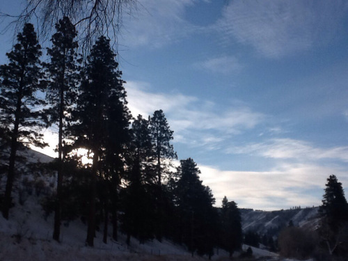 20131216-074747.jpg