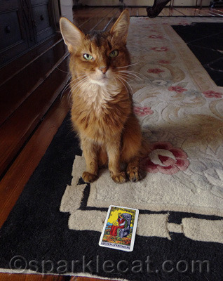 My human is the investor in this operation!