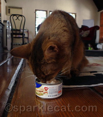 My human said unless she can find a low-sodium version, this is just a one-time thing.