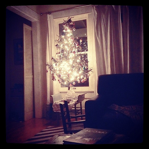 Not gonna lie. This afternoon was rough. Through and through. Stopped to be thankful for all the abundance in my life (health, family, career, friends) but then it turns out I needed a good cry. And to come home from work to a sweet little tree and an und