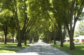 Belvedere Drive, Toledo, Ohio, before