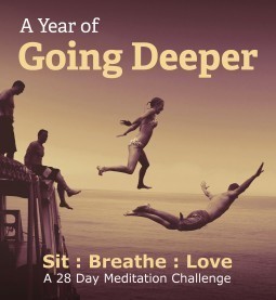 sit : breathe : love