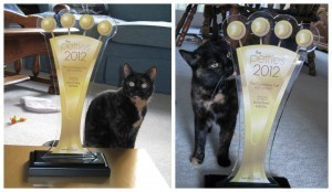2012_Pettie_Award_Best_Cat_Blog