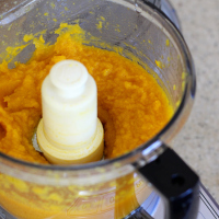 kitchen101-pumpkinpuree-foodprocessor