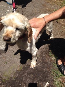 1480640_10151856733642898_1640952661_n