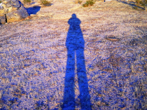 shadow