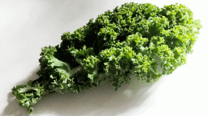 Kale, Fresh Organic