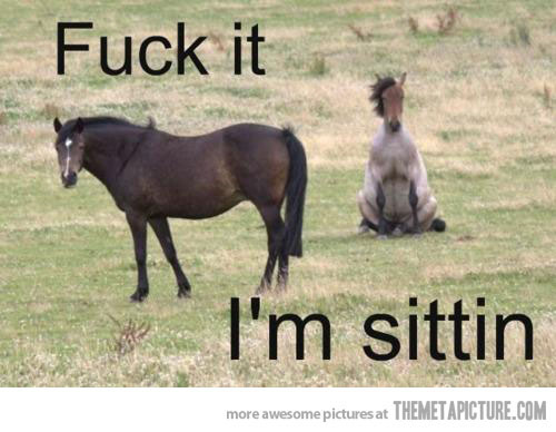  photo funny-horse-sitting-grass_zps5d9472aa.jpg