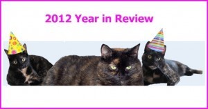 2012 Year in Review