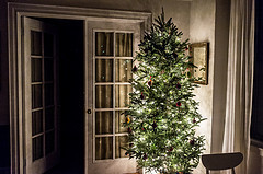 Xmas
