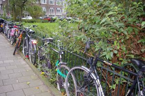 Amsterdam, Holland, travel, bikes, bicyclists