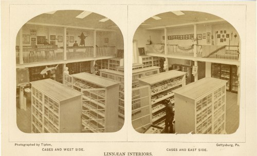 Linnaean Hall. Courtesy of Special Collections/Musselman Library, Gettysburg College.