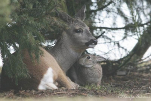 friends