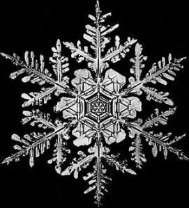 snowflake