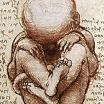 Foetus_in_the_Womb_detail