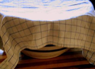 Lucia buns_3439