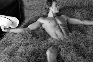 roll-in-the-hay-cowboy