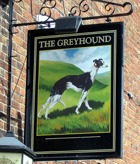 Where did the greyhound come from?