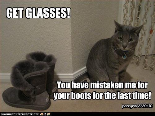 funny-pictures-cat-looks-like-boots