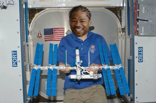 LEGYO_DAWG