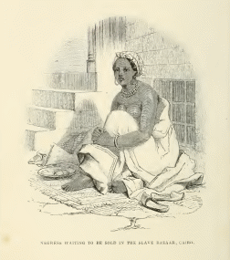  photo BlackSlaveWomaninCairo_zpsd0361948.gif