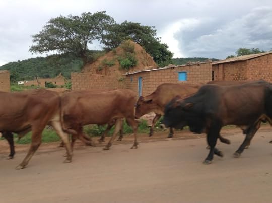 Kolwezi trip 1213 (41)