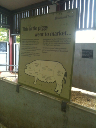 Photo-29=