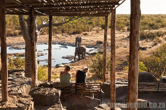 7 travel highlights, Etosha