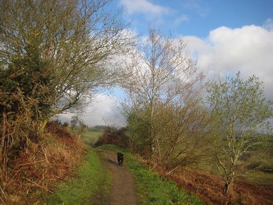 Devon 1