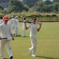 Cricket at Glynde in July