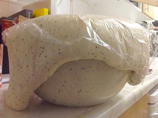 White Sourdough with Poppy Seeds