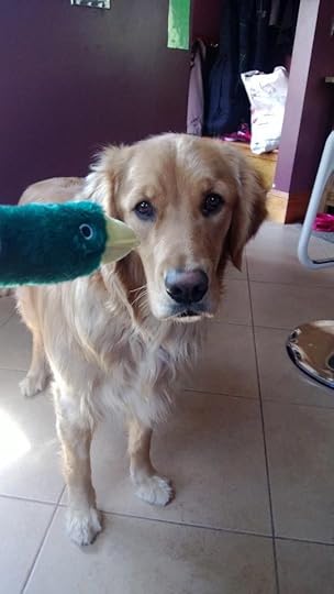 Ruby and the annoying duck