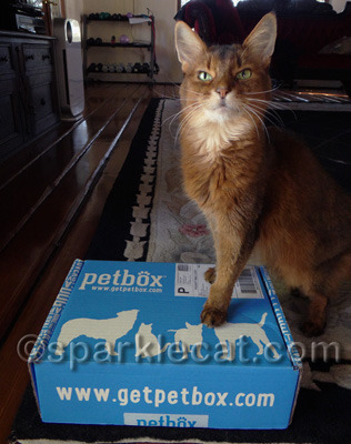 And look, not a whisker out of place