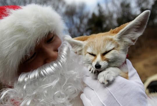 Penguins Dress As Santa Claus At Everland