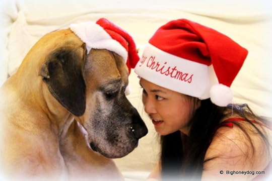 HY+Honey-SantaHats-specialmoment