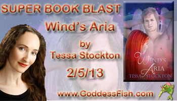 Wind's Aria Tour Banner