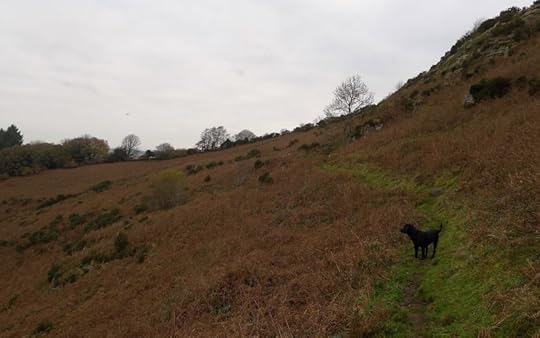 The Nattadon path