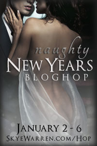 Naughty New Years Bloghop