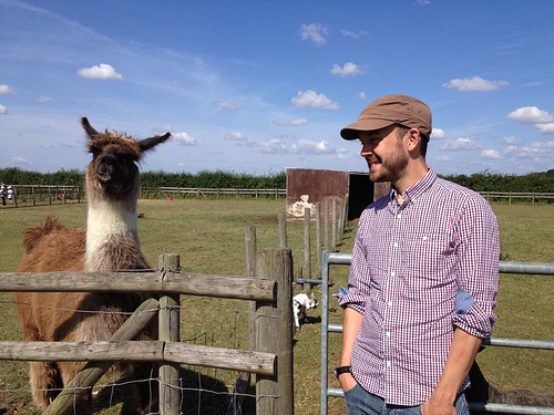 1186010_10151802495021136_917219464_n