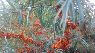 2013-10-09_16-36-41_377