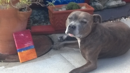 georgemilly