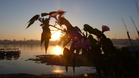 Screen Shot 2013-12-18 at 2.05.13 AM