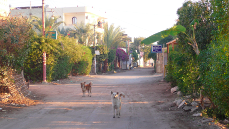 Screen Shot 2013-12-18 at 2.05.48 AM