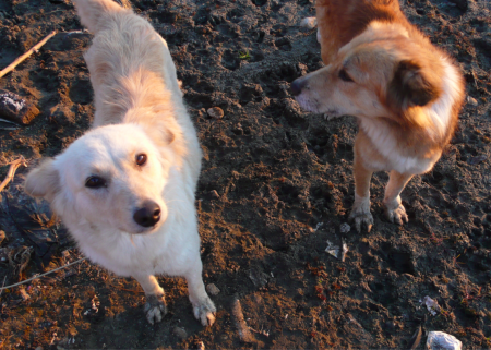 Screen Shot 2013-12-18 at 2.03.16 AM