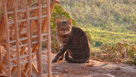 Screen Shot 2013-12-18 at 2.06.20 AM