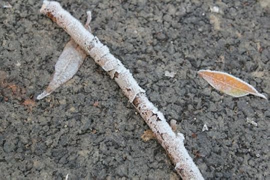 frost12