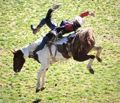 courageous without saddle?