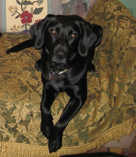 Thank you for the bones