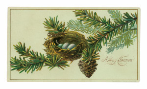 Christmas Nest