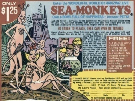 Sea Monkey AD